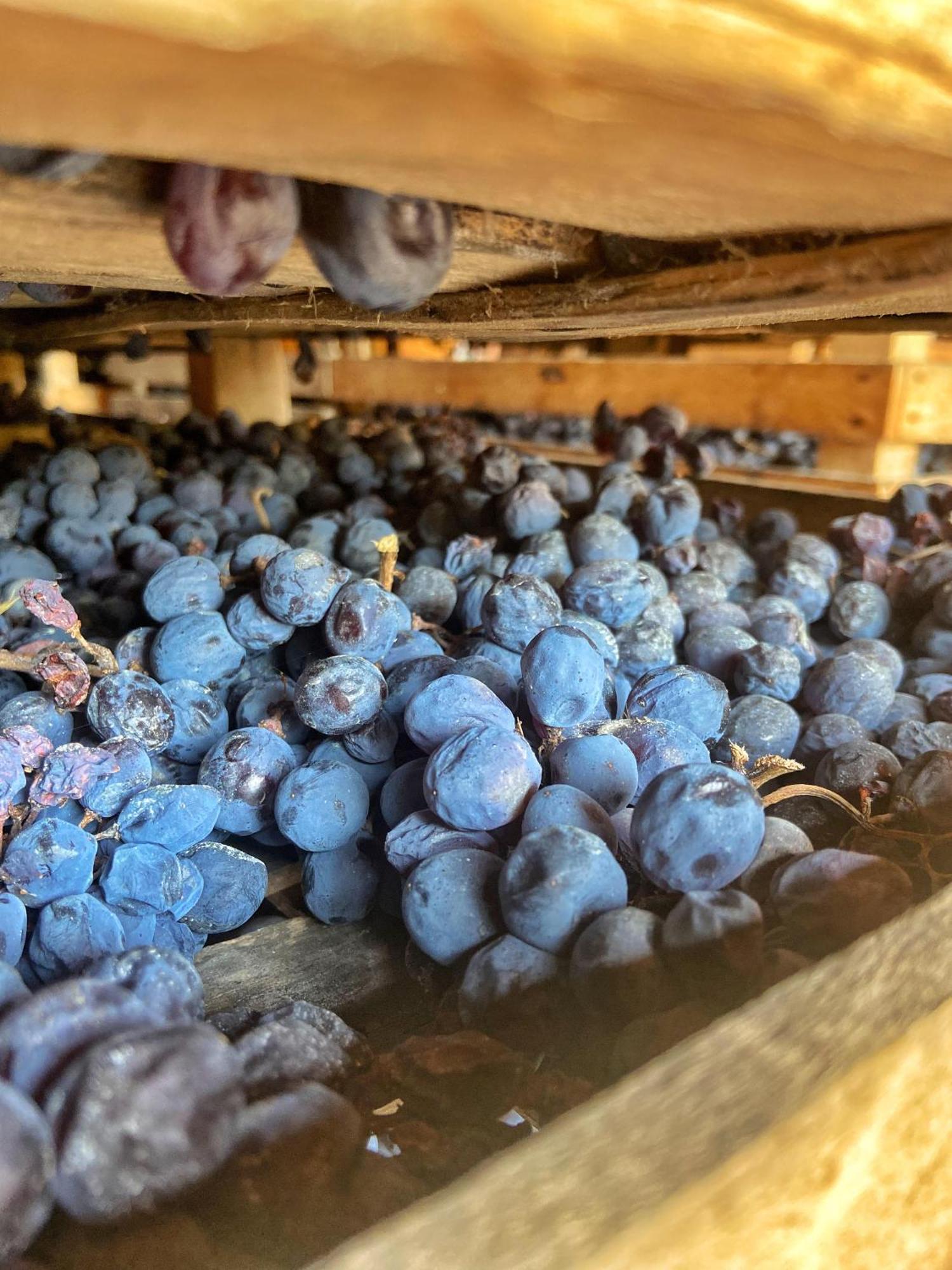베로나 La Vineria Di San Mattia 빌라 외부 사진