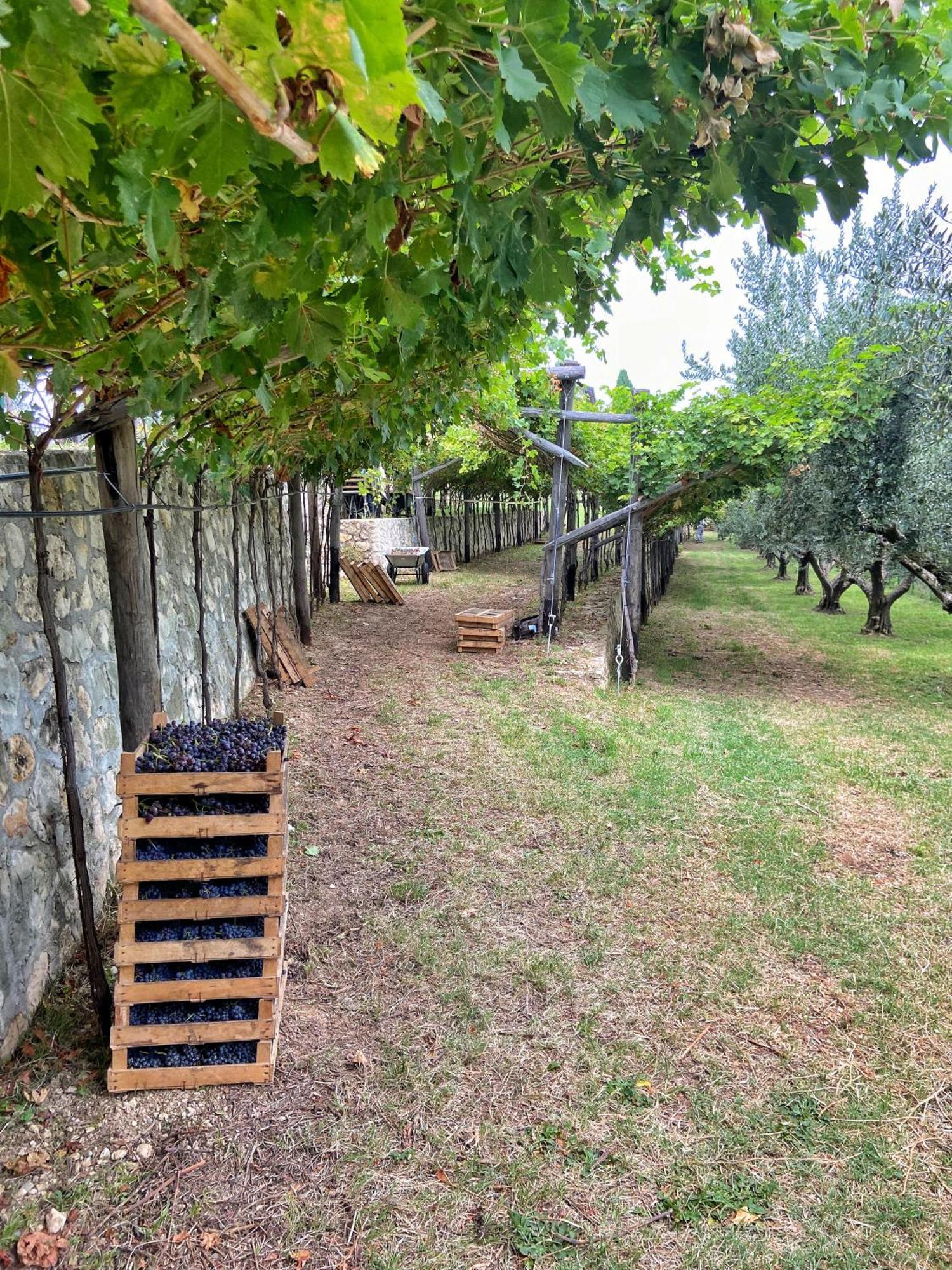 베로나 La Vineria Di San Mattia 빌라 외부 사진